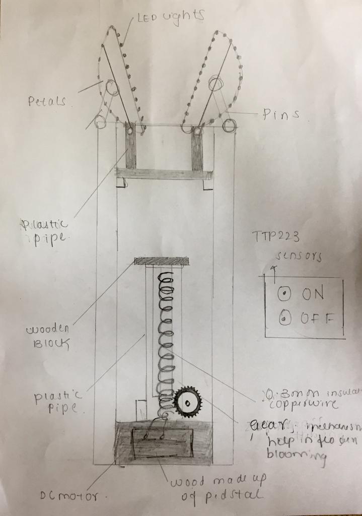 WhatsApp Image 2022-06-01 at 10 07 26 AM