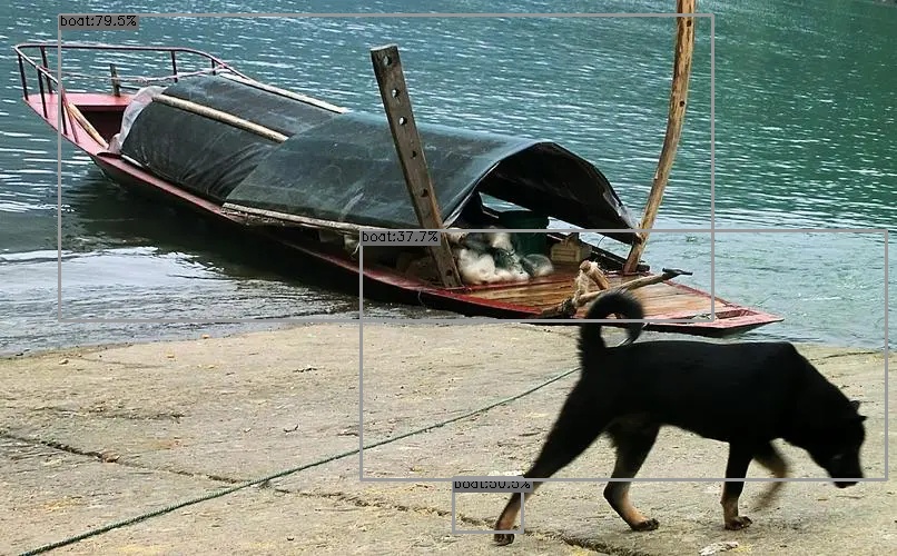 dog3