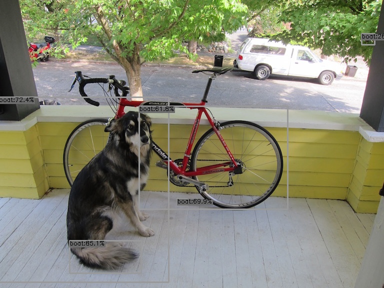 dog  2