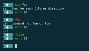 [Bug] Exit code segment not working with Zsh · Issue #659 ...
