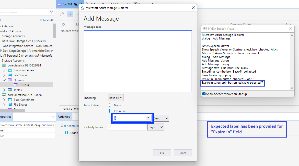 A11y_Azure Tools Storage Explorer_Queues_AddMessage_ScreenReaderWhen