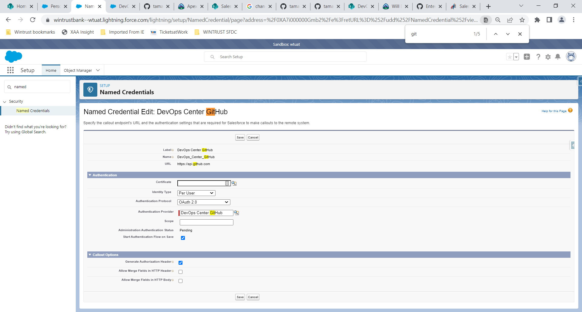 named credentials edit page