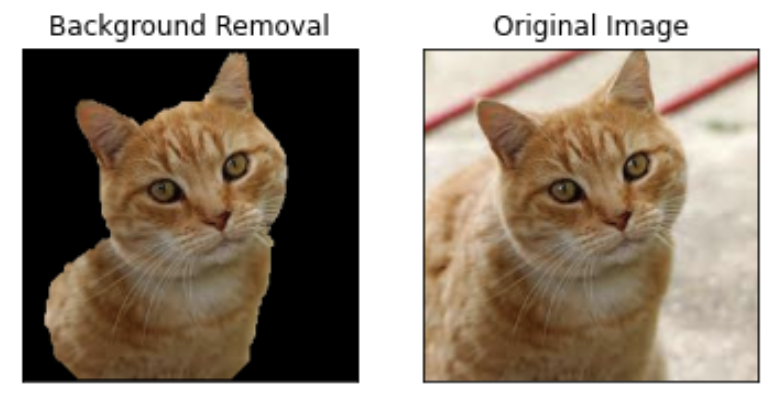 GitHub - EGMNZ/Cat-Dog-Image-Classifier-with-Segmentation: Final Group ...