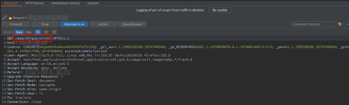 Figure 3 Intercepeted Burpe Request with Dummy Parameter
