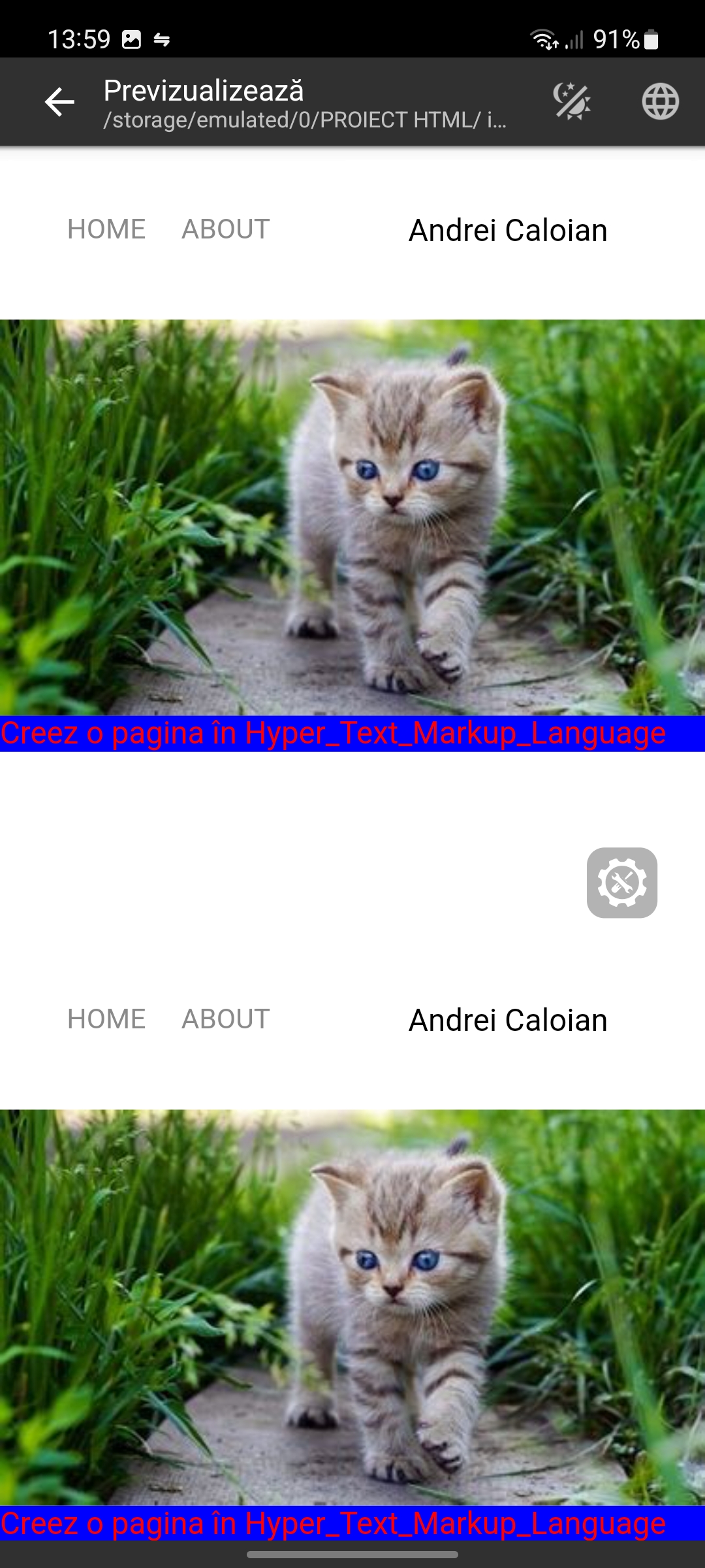 Screenshot_20220620-135906_Code Editor