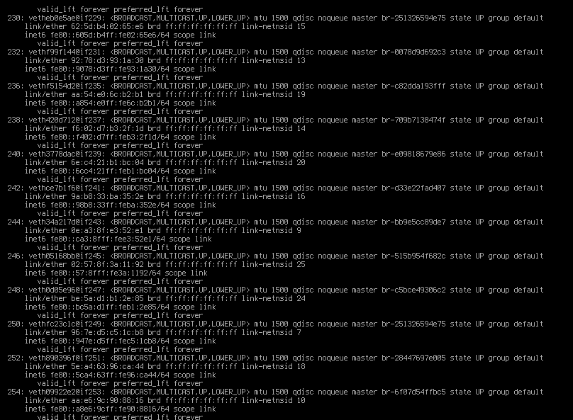 Raise Network Interfaces Failed to start · Issue 1099 · telekom