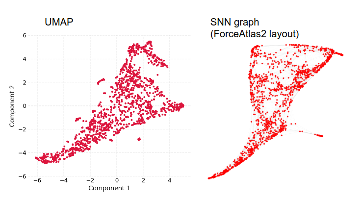 Comments on similarities with SNN · Issue #63 · lmcinnes/umap · GitHub