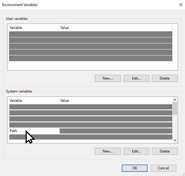 WinEnvironmentVariables