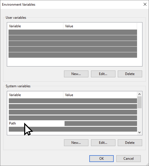 WinEnvironmentVariables
