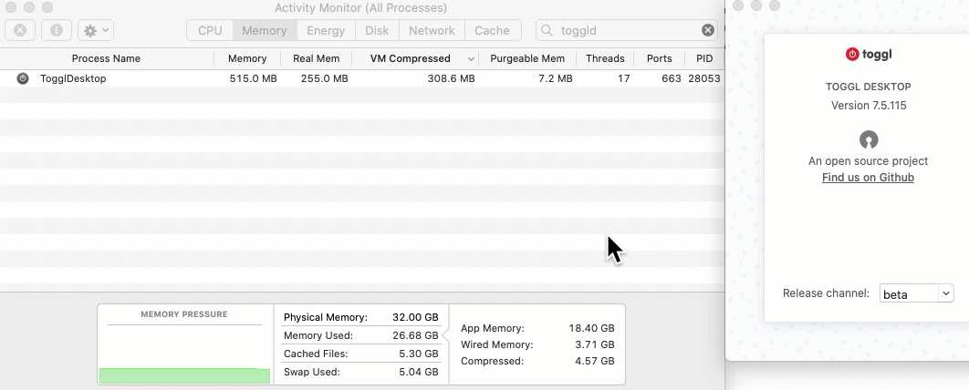 Toggl Mac memory leak still there 2