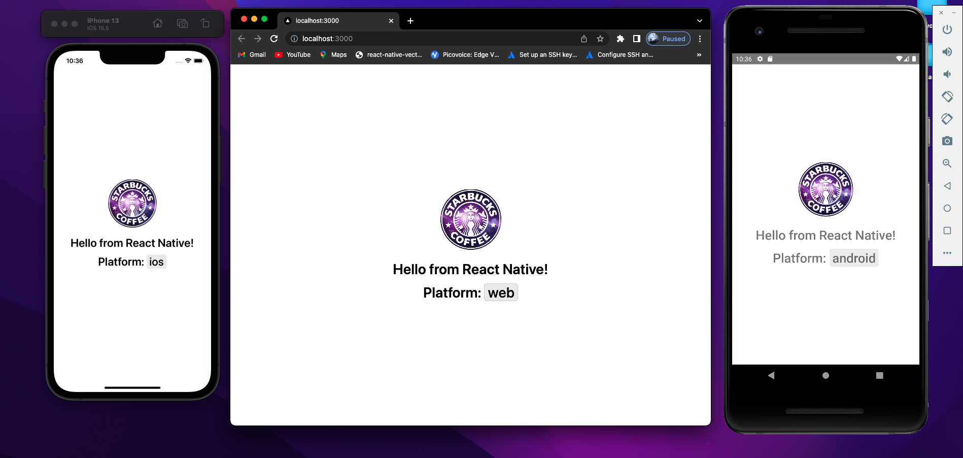 Github visheshtgupta reactnative nextjs monorepo