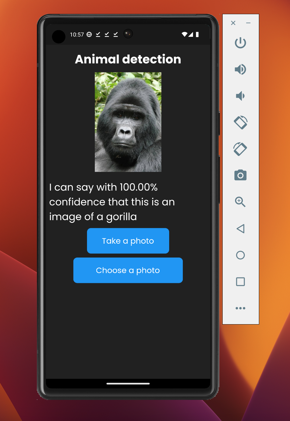 GitHub - emeleonufavour/animal-detection: An app using a trained ...