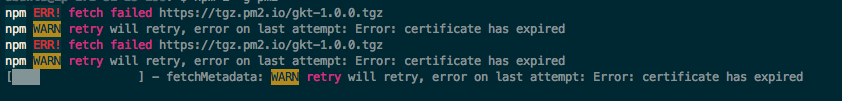 "npm i -g pm2" cannot fetch · Issue #3580 · Unitech/pm2 · GitHub