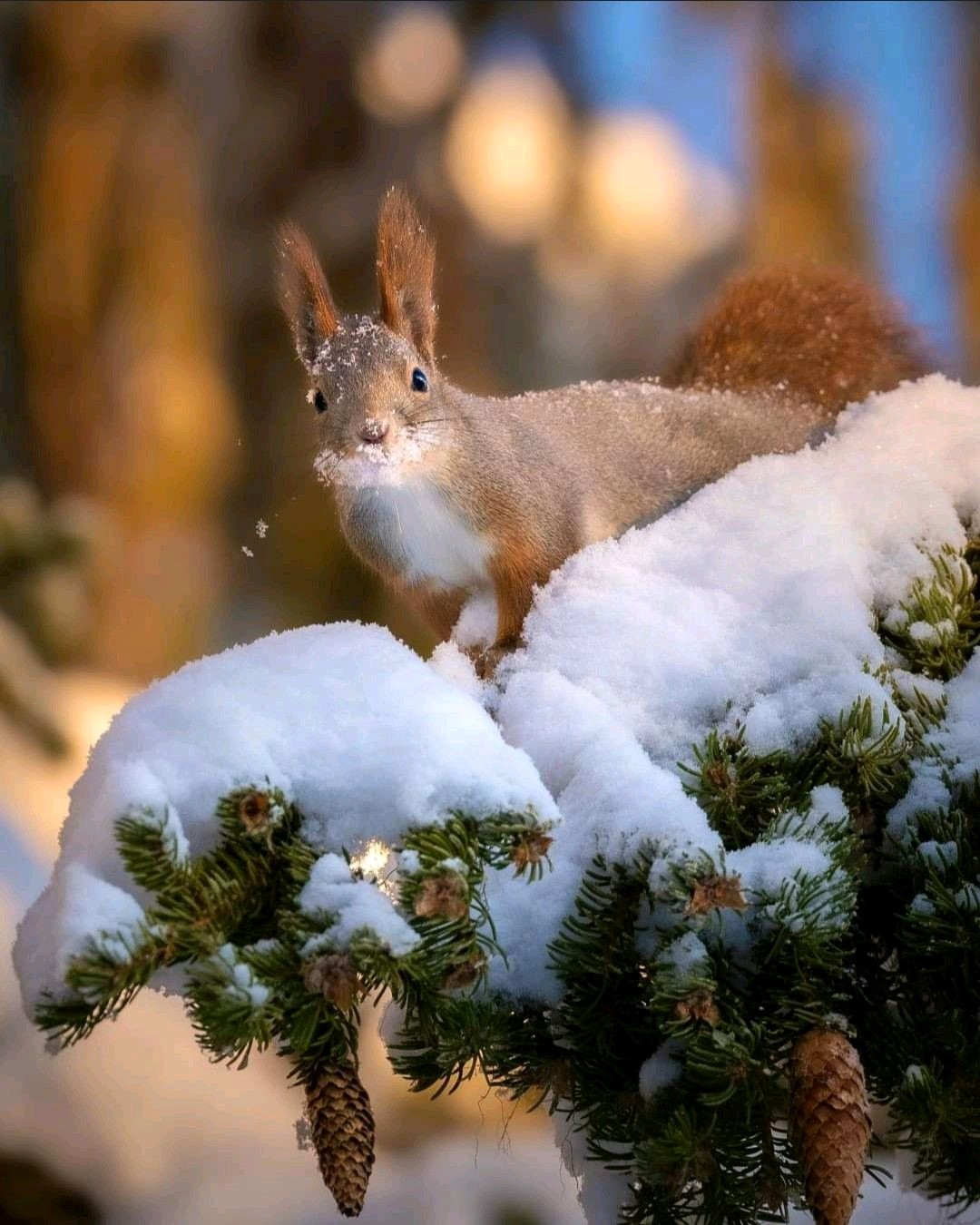 image_a1cc42f1-ea5d-4f4c-a5ca-dd1a4e5c740420221030_200229