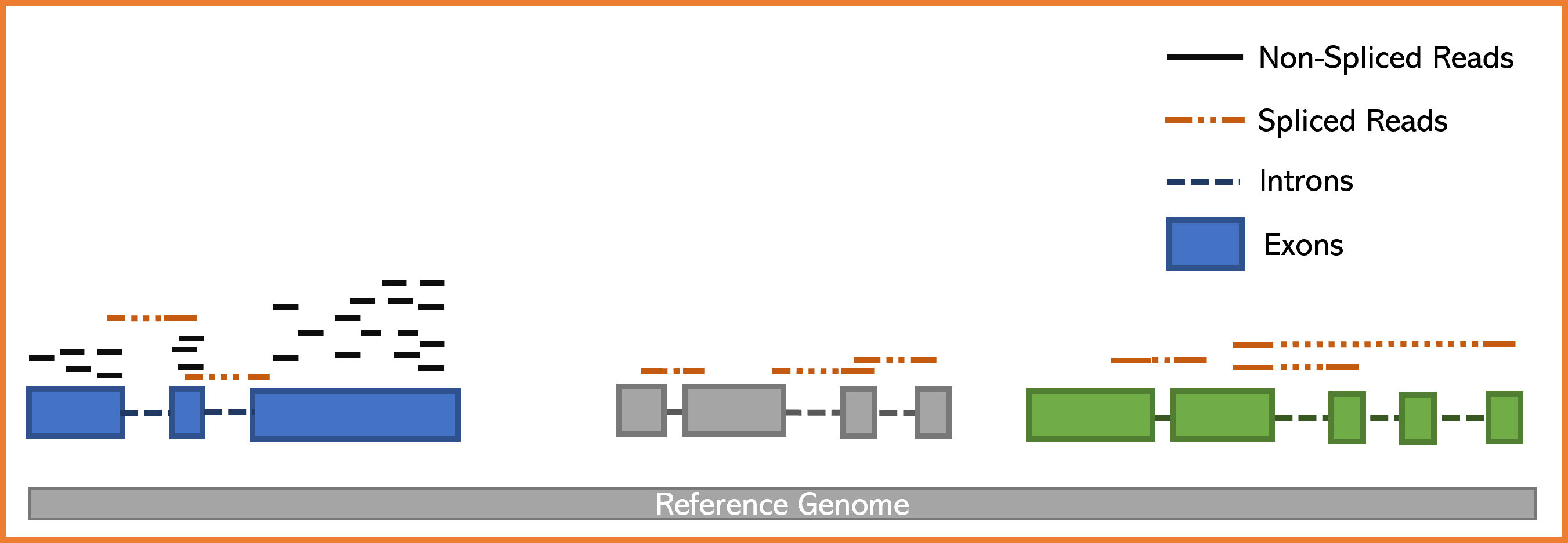 Practical Section 2 Aligment to the reference Genome TarifenoLab