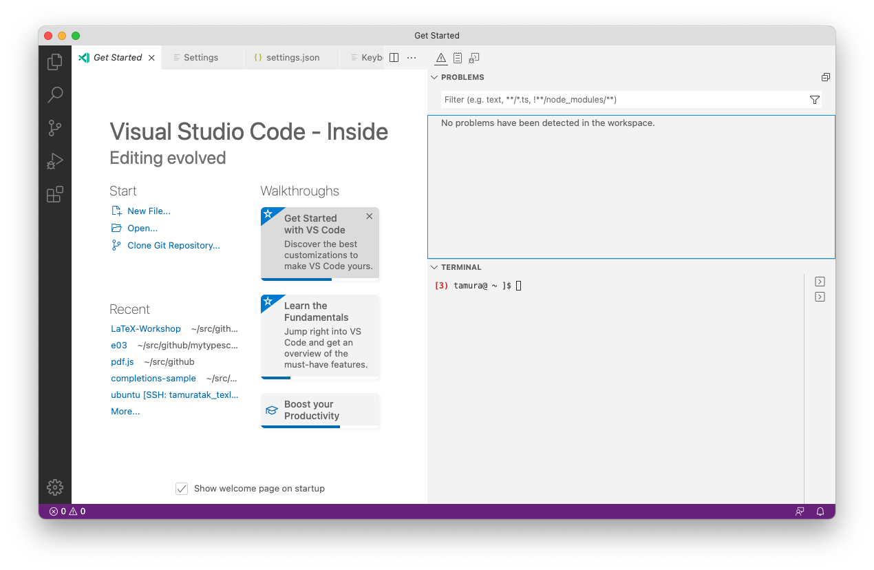 Side panel is gray with the theme `Default Light+` · Issue #141255 ...