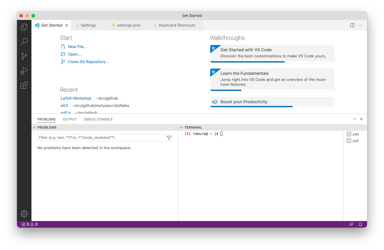 Side panel is gray with the theme `Default Light+` · Issue #141255 ...