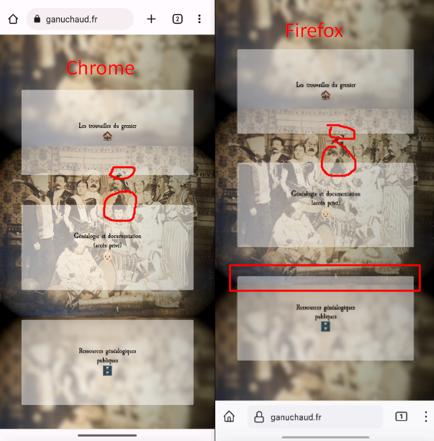 www.ganuchaud.fr - The transparent boxes are misaligned · Issue #120942 ...