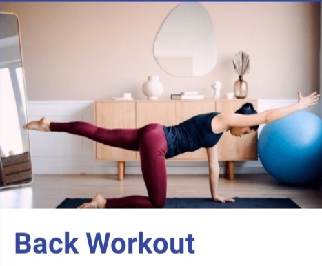 back workout