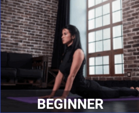 beginner