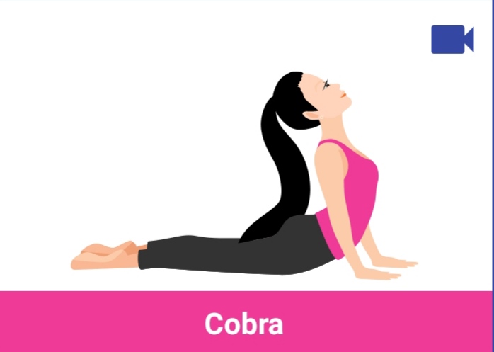 cobra