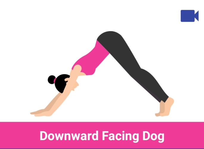 downward facing dog