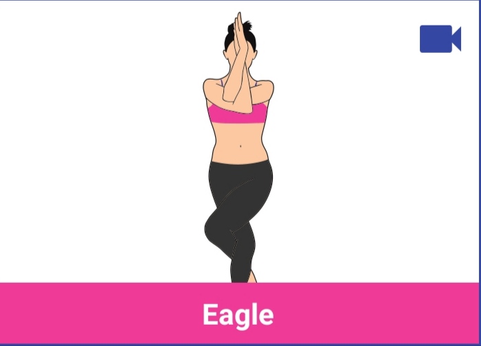 eagle