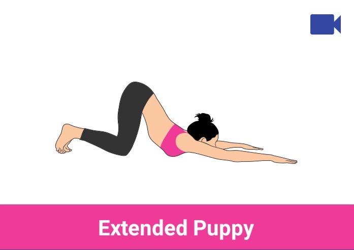 extended puppy
