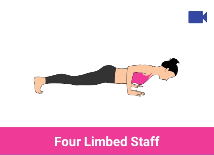 four limbed staff