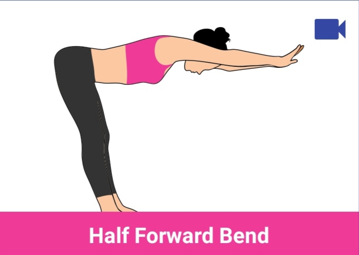half forward bend
