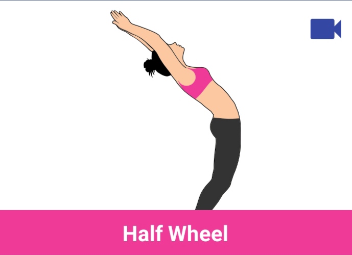 half wheel