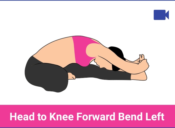 head to knee forward bend left