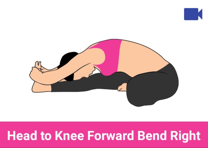 head to knee forward bend right