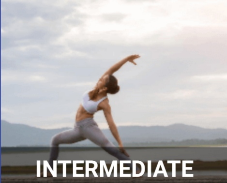 intermediate