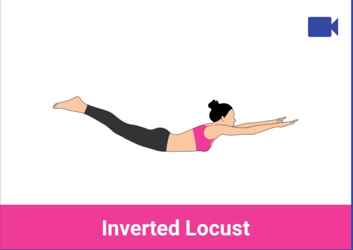 inverted locust