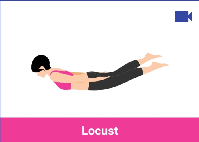 locust
