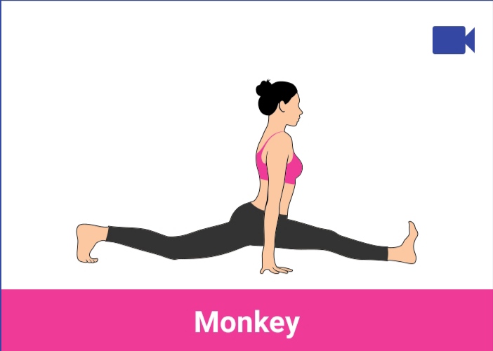 monkey