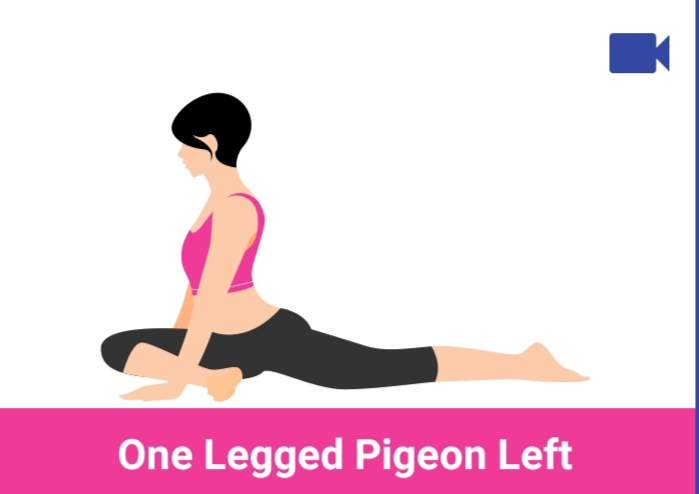 one legged pigeon left