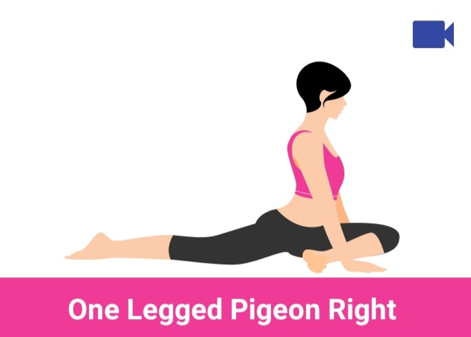 one legged pigeon right