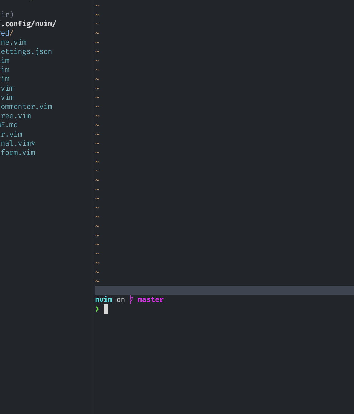 ligature in terminal · Issue 266 · neovide/neovide · GitHub