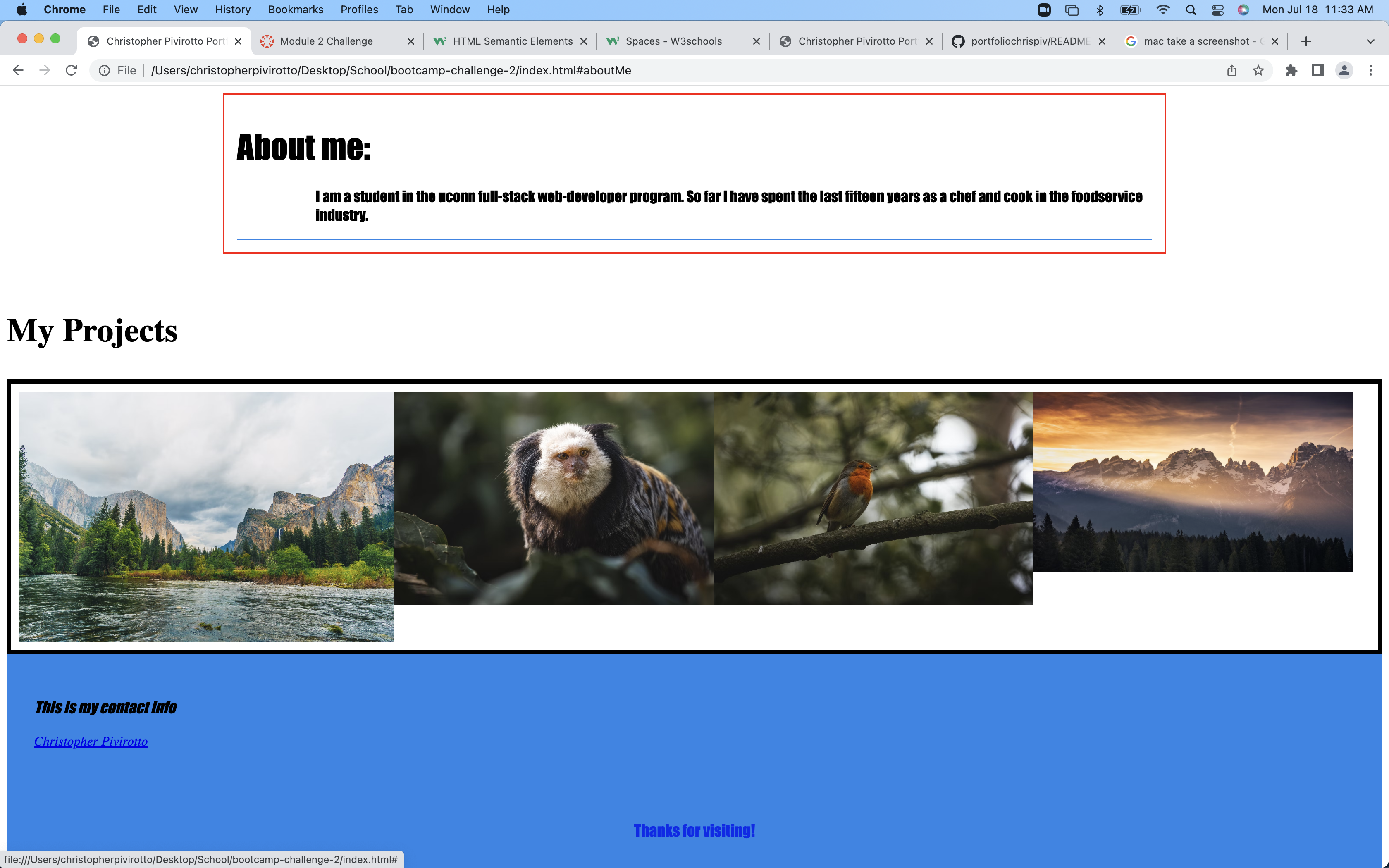 GitHub - cpivirotto77/portfoliochrispiv