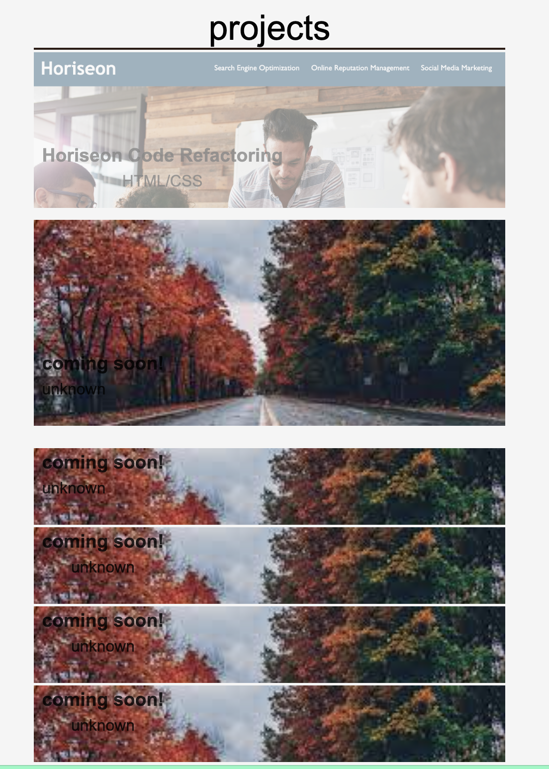 GitHub - j-steinhaus/week-2-professional-portfolio