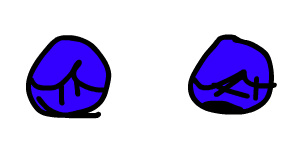 icon-dakota