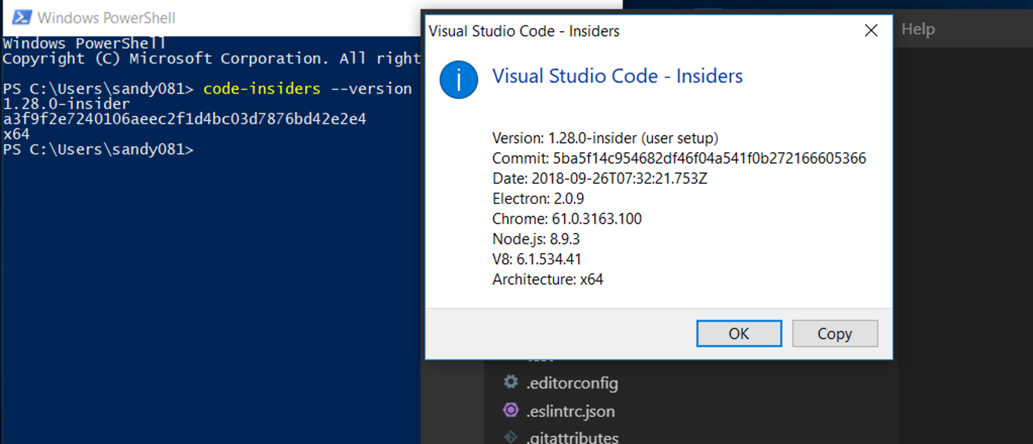 Code Insiders App and Code Insiders CLI are showing two different ...