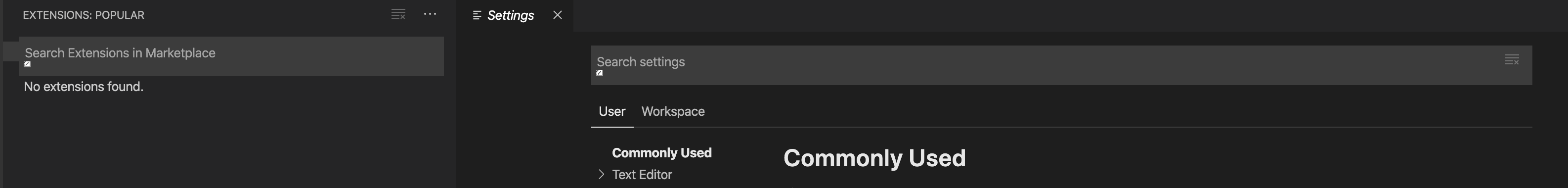 Search input in Extensions view and Settings is broken · Issue #88545 ...