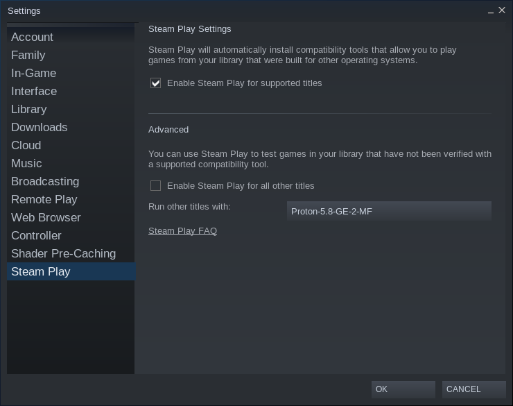steam_issue1