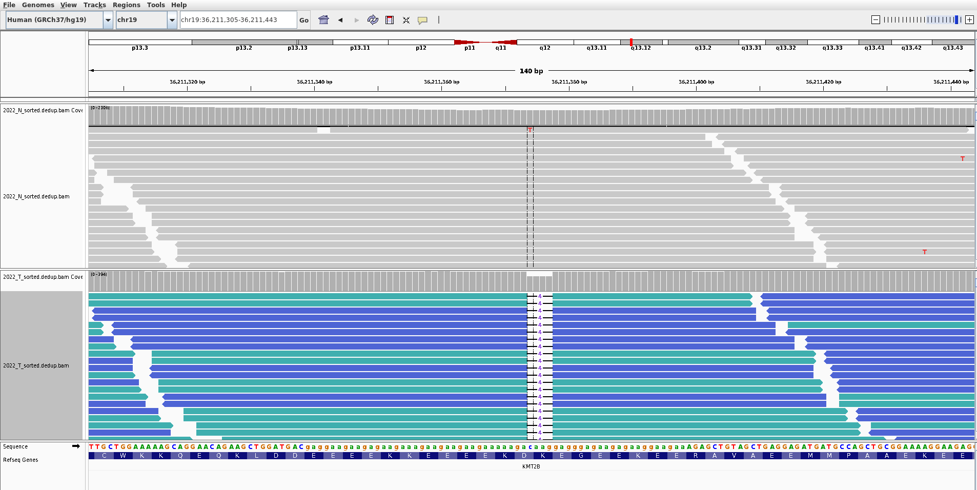 SAGE issue ： INDEL · Issue #463 · hartwigmedical/hmftools · GitHub