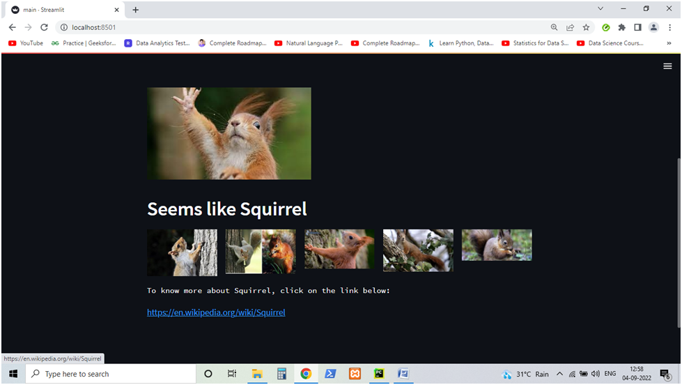 GitHub - Neeraj6197/Animal-Nation-DeepLearningProject