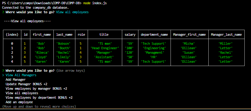 GitHub - PeytonCast/COMP-DB: A company data base manager.